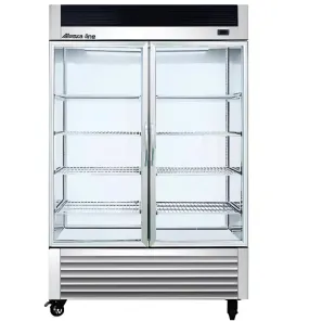 55" Alaska-Line Reach in 2 Glass Door Freezer 50 Cu.Ft HIT-408