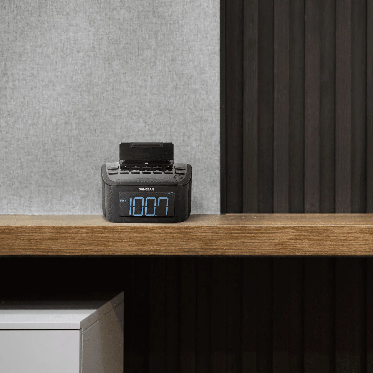 AM / FM / AUX Digital Tuning Radio