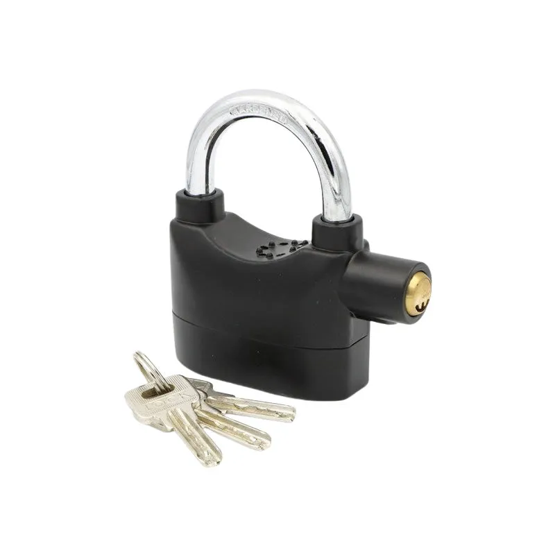 Anti-Theft Alarm Lock
