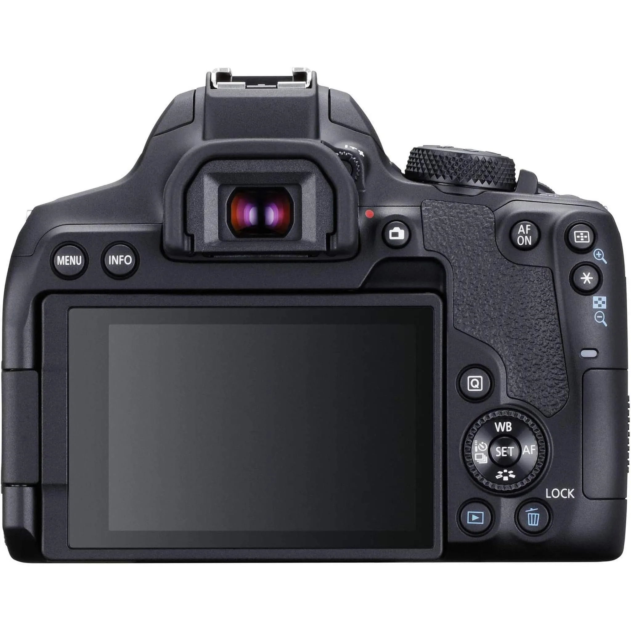 Canon EOS Rebel 850D / T8i DSLR Camera   Canon EF 24-70mm Lens Outdoor Bundle