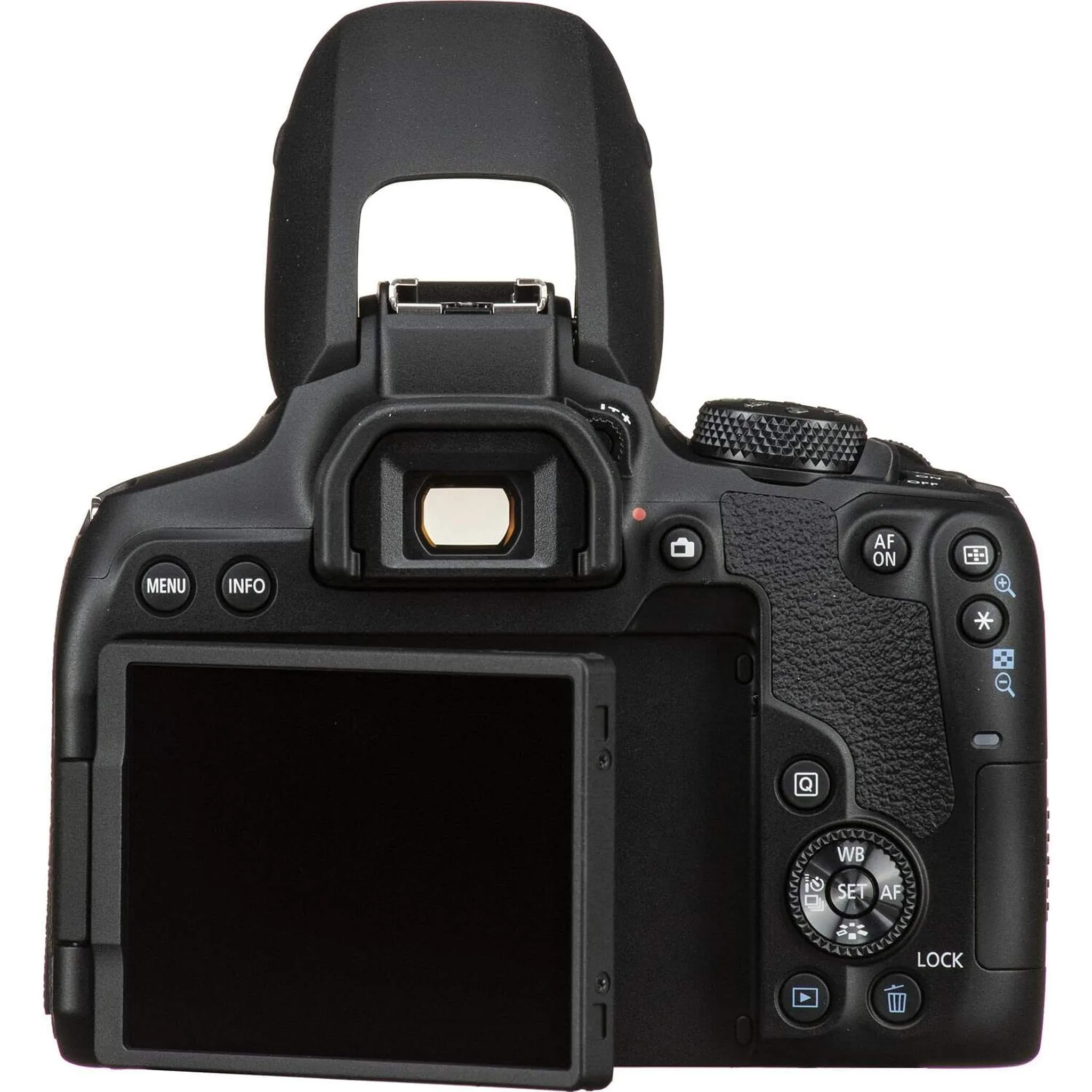 Canon EOS Rebel 850D / T8i DSLR Camera   Canon EF 24-70mm Lens Outdoor Bundle