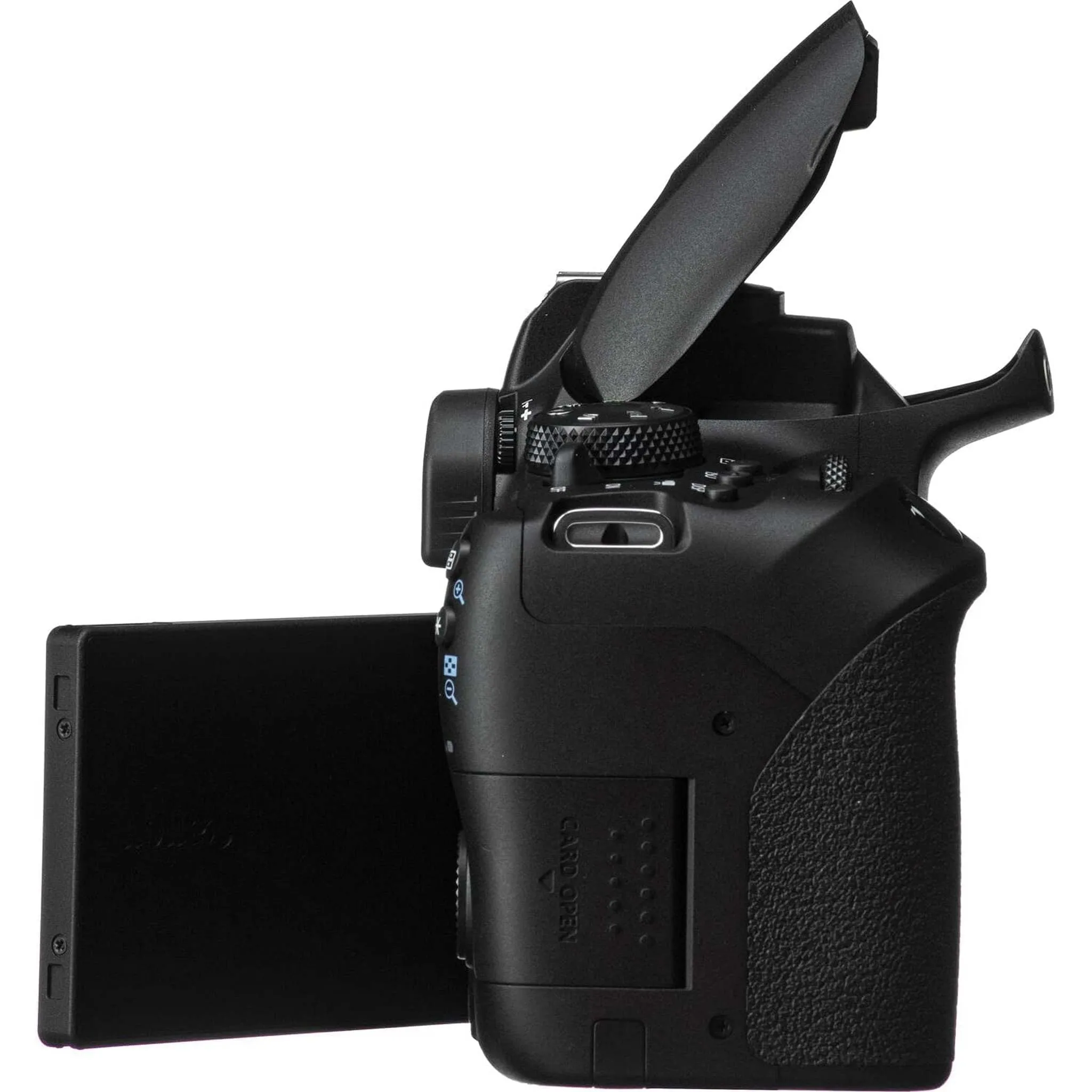 Canon EOS Rebel 850D / T8i DSLR Camera   Canon EF 24-70mm Lens Outdoor Bundle