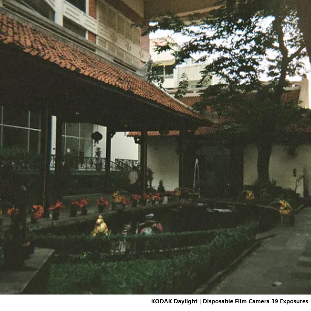 KODAK SUC Daylight Disposable Analog Film Camera with 39 Exposures Shots, 800 ISO,  35mm Film Format and C-41 Print Process for Point and Shoot Photography